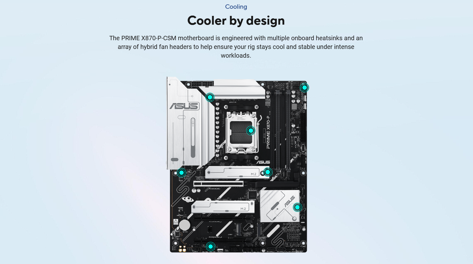 ASUS Prime X870 Motherboard DI 10